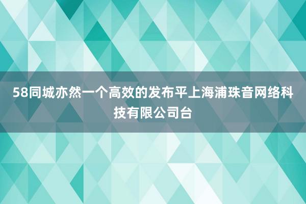 58同城亦然一个高效的发布平上海浦珠音网络科技有限公司台